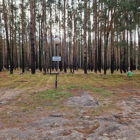 Lesny Zakatek Nr 2 Lägenhet Radzyń Exteriör bild