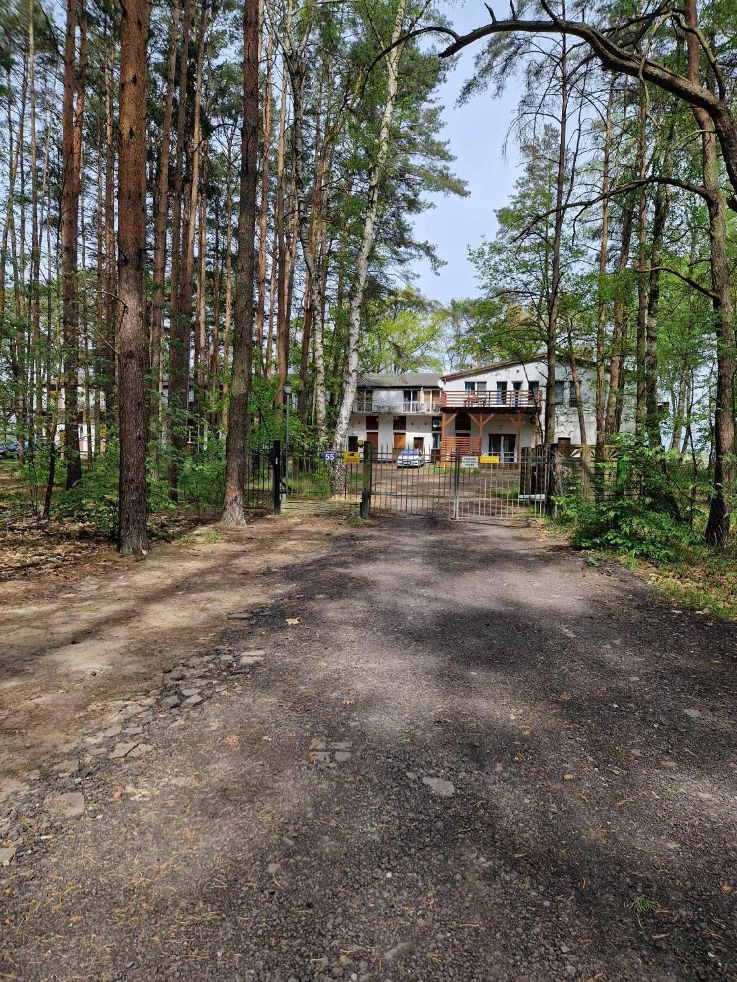 Lesny Zakatek Nr 2 Lägenhet Radzyń Exteriör bild